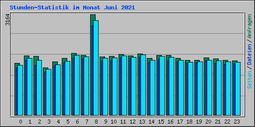 Stunden-Statistik im Monat Juni 2021
