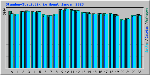 Stunden-Statistik im Monat Januar 2023