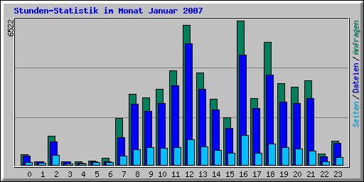 Stunden-Statistik im Monat Januar 2007