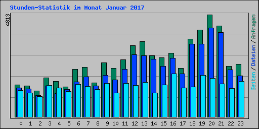 Stunden-Statistik im Monat Januar 2017