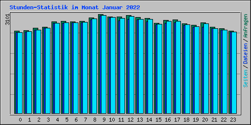 Stunden-Statistik im Monat Januar 2022