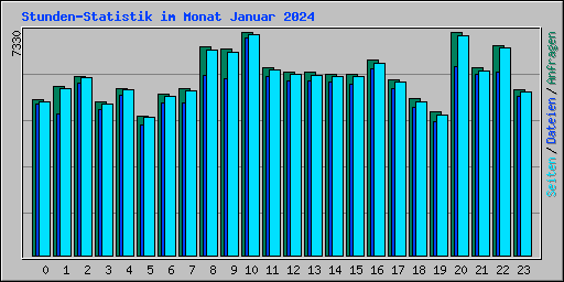 Stunden-Statistik im Monat Januar 2024
