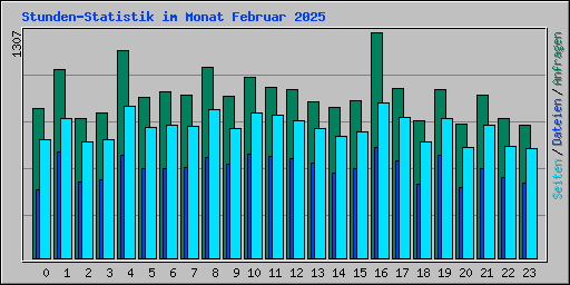 Stunden-Statistik im Monat Februar 2025